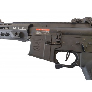 E&C SI SE M4 Striker AEG (Black)