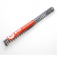 XT AEG Spring M150